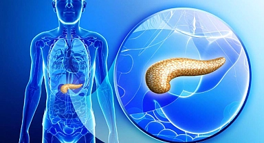 Pankreas Nedir? Vücudun Gizemli Çalışanı