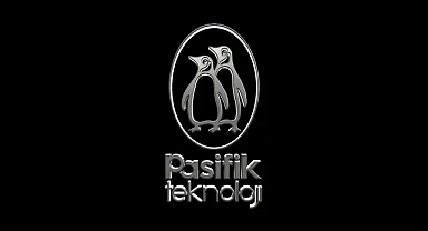 Pasifik Donanım ve Yazılım Bilgi Teknolojileri Halka Arzı  Onaylandı Mı? Pasifik Donanım ve Yazılım Bilgi Teknolojileri Ne İş Yapar?