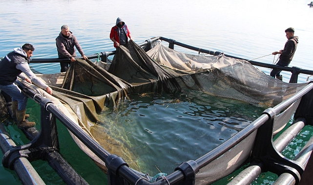 Şanlıurfa’dan ülke ekonomisine 100 milyon dolar destek