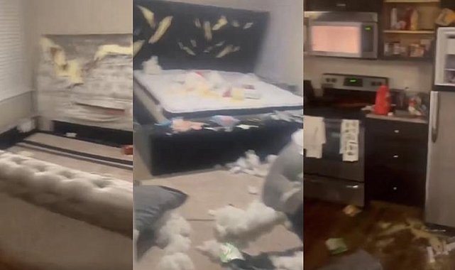 Sevgililer Günü'nde hediye almayan erkek arkadaşının evini harabeye çevirdi! Sosyal medyanın konuştuğu intikam...