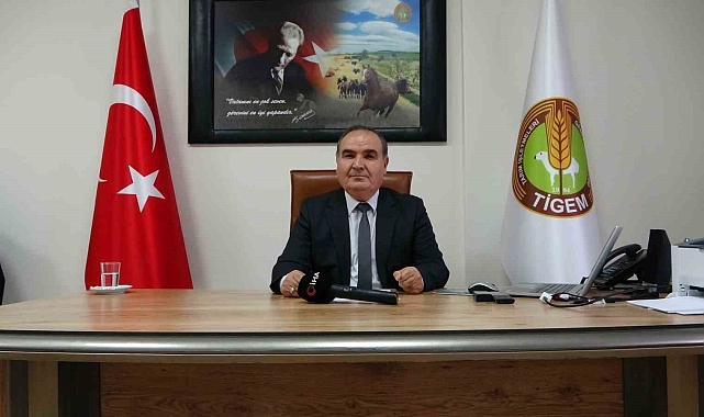 Sultansuyu'nda milyonluk taylar için modern tavlalar inşa ediliyor