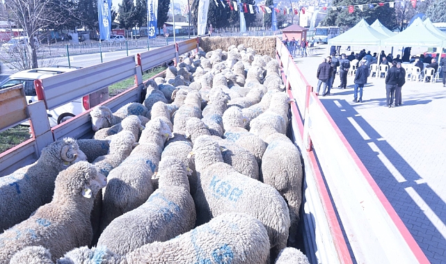 Üreticiye koç ve teke desteği