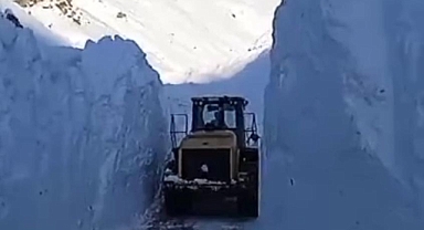 Van'da çığ düşmesi sonucu kapanan yolun açılması için çalışmalar sürüyor