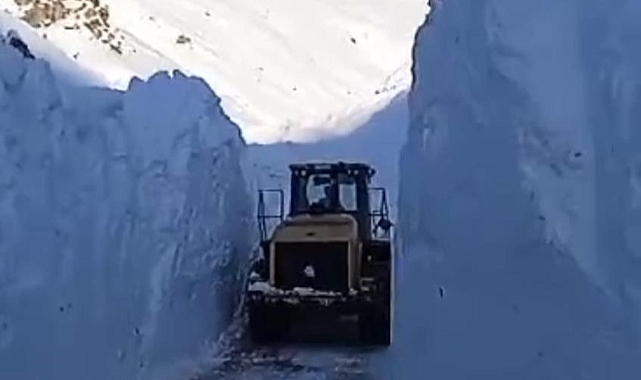 Van'da çığ düşmesi sonucu kapanan yolun açılması için çalışmalar sürüyor