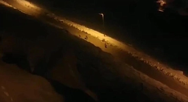 Van'da kurt sürüsü korku saldı