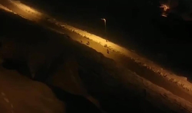 Van'da kurt sürüsü korku saldı
