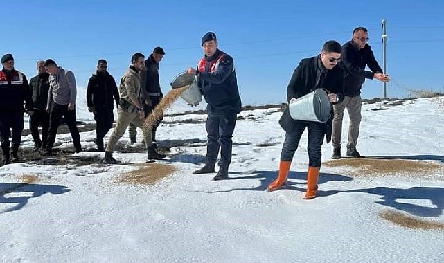 Van'ın Özalp ilçesinde sokak ve yaban hayvanları için yem bırakıldı