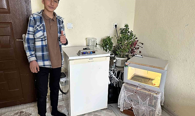 Yatak odasında civciv üretimi