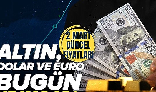 2 Mart Dolar Kuru: 1 Dolar Kaç TL? 600 Dolar Ne Kadar? Sterlin, Euro ne kadar?