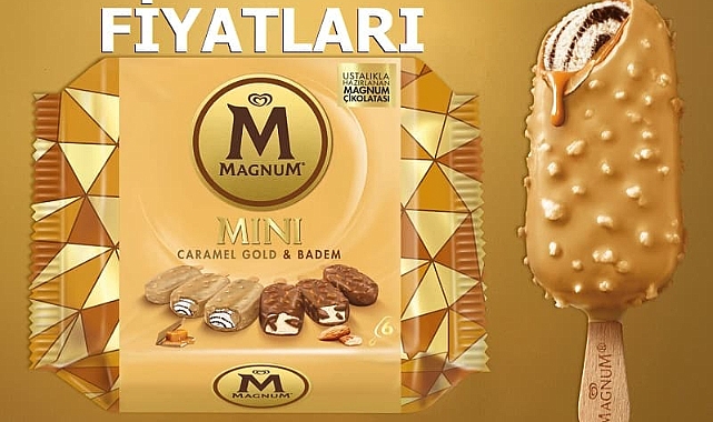 A101'de Magnum Mini Dondurma Fiyatı 2024 (6'lı Paket)