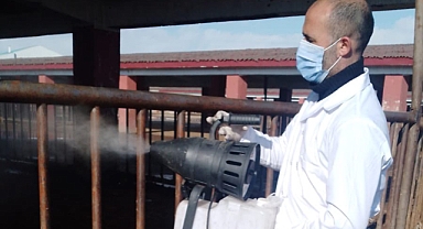 Ağrı Canlı Hayvan Borsası şap hastalığına karşı dezenfekte edildi