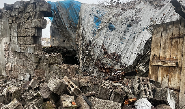 Ağrı'da fırtına: ağaçlar söküldü, bir evin damı çöktü