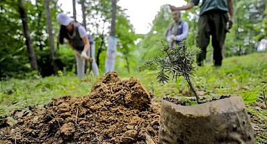 Ağrı Orman İşletme Müdürlüğü Toprak İşleme Ve Arazi Bakım Hizmeti Alacaktır