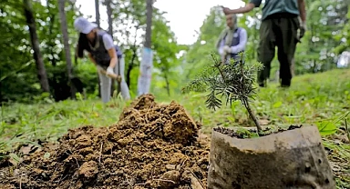 Ağrı Orman İşletme Müdürlüğü Toprak İşleme Ve Arazi Bakım Hizmeti Alacaktır