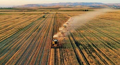 Ankara'da En Çok Ne Yetişir? İşte Bereketli Ankara Toprakları
