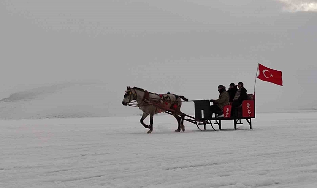 Ardahan Çıldır Gölü'nde Atlı kızak keyfi