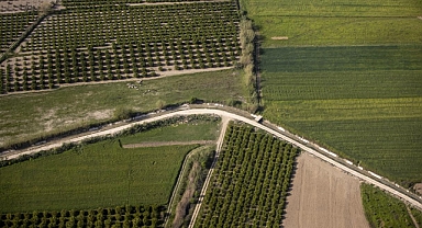 Ardahan'da En Çok Ne Yetişir? İşte Bereketli Ardahan Toprakları