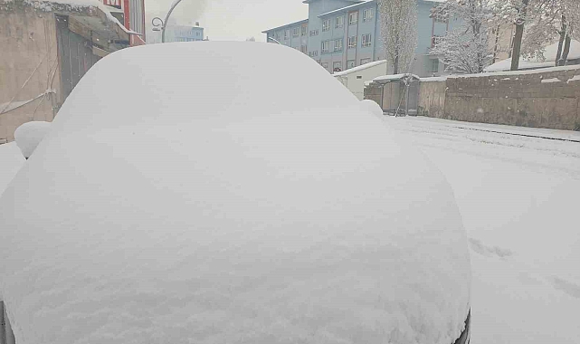 Başkale'de okullar tatil edildi: 65 yerleşim yerinin yolu kapandı