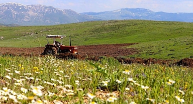 Bayburt'ta En Çok Ne Yetişir? İşte Bereketli Bayburt Toprakları