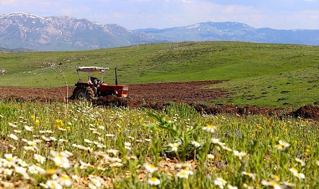 Bayburt'ta En Çok Ne Yetişir? İşte Bereketli Bayburt Toprakları