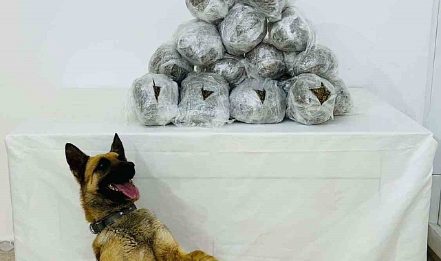 Bingöl'de 8 kilo uyuşturucu ele geçirildi