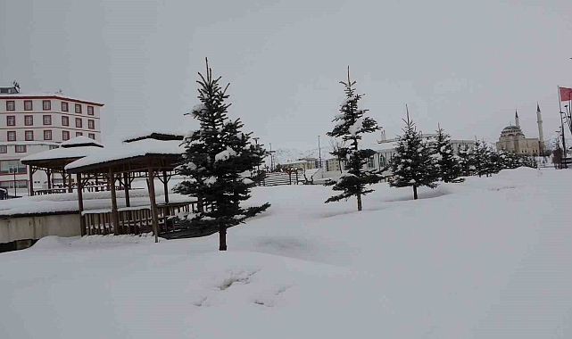 Bitlis'te kar yağışı: 4 köy yolu ulaşıma kapandı