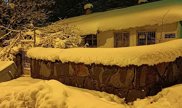 Bitlis'te tek katlı evler ve araçlar kar altında kaldı