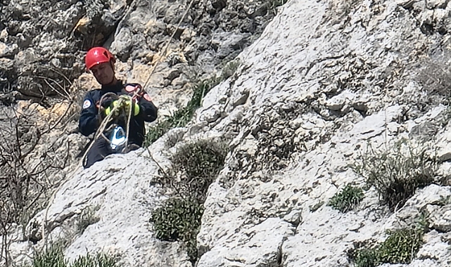 Dağda mahsur kalan keçi itfaiye ve AKOM ekipleri tarafından kurtarıldı