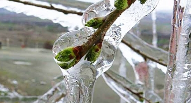 Doğu Anadolu’ya Meteorolojiden Zirai Don Uyarısı