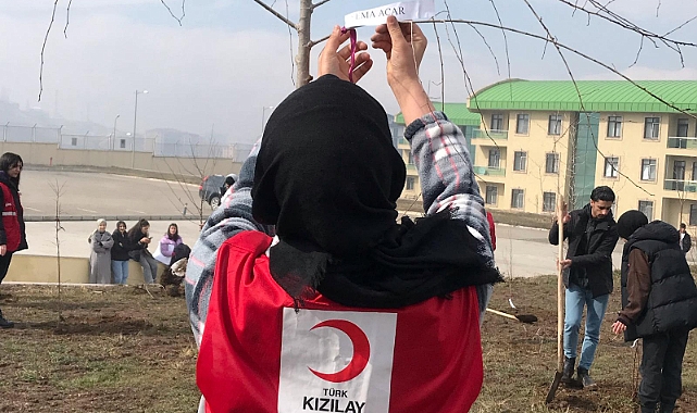 Doğubayazıt’ta 8 Mart Dünya Kadınlar Günü'nde fidan dikildi