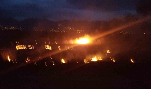 Erzincan'da örtü yangını korkuttu