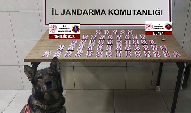 Erzincan'da uyuşturucu operasyonu