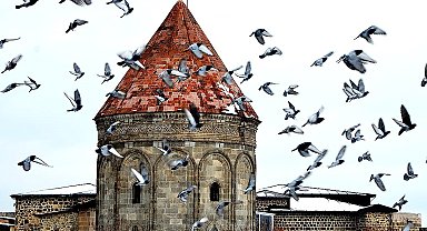 Erzurum'da aç kalan güvercinleri esnaf ve vatandaş besliyor