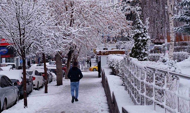 Erzurum'da kar yağışı sonrası kartpostallık manzaralar