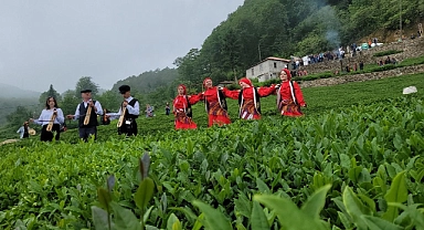 Giresun'da En Çok Ne Yetişir? İşte Bereketli Giresun Toprakları