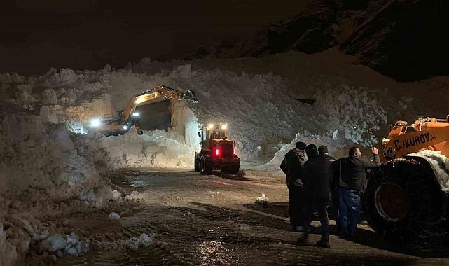 Hakkari-Çukurca karayoluna düşen çığlar ekipleri teyakkuza geçirdi