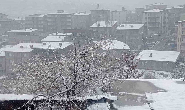 Hakkari'de lapa lapa kar yağışı