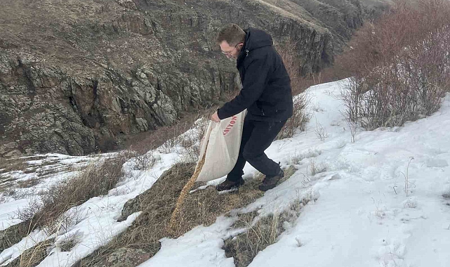 Kars'ta yaban hayvanları için doğaya yem bırakıldı