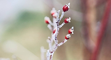 Meteoroloji Pazar ve Pazartesi için Ağrı’yı uyardı