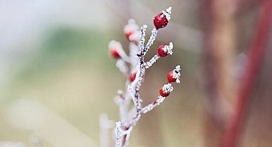 Meteoroloji Pazar ve Pazartesi için Ağrı’yı uyardı
