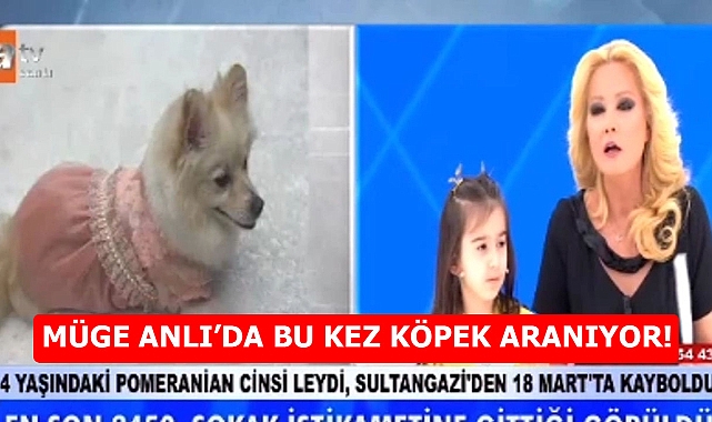 Müge Anlı'da Acil Arama: Kayıp Köpek Leydi Aranıyor!