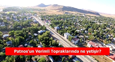 Patnos'un Verimli Topraklarında ne yetişir? Patnos'da en çok ne yenir?