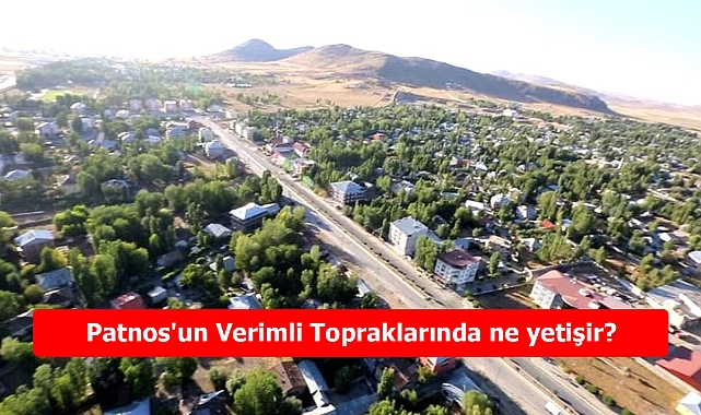 Patnos'un Verimli Topraklarında ne yetişir? Patnos'da en çok ne yenir?