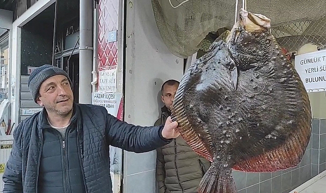 Rize Pazar'da ağa takılan 7 kiloluk kalkan balığı 7 bin TL’den anında alıcı buldu