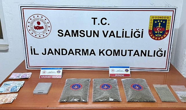 Samsun'da jandarma 1 kilo 50 gram bonzai ele geçirdi: 1 gözaltı