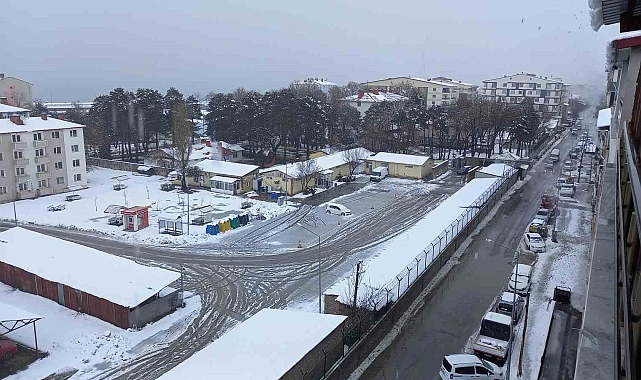 Tatvan'da kar yağışı hayatı olumsuz etkiliyor