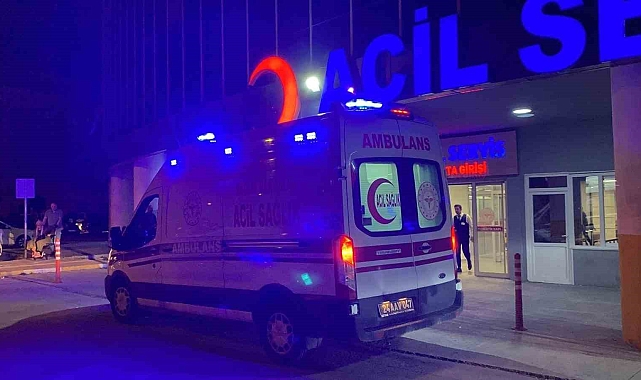 Tercan'da trafik kazası: 7 yaralı