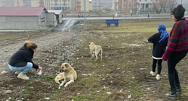 Tutak’ta öğrenciler sokak hayvanlarını unutmadı