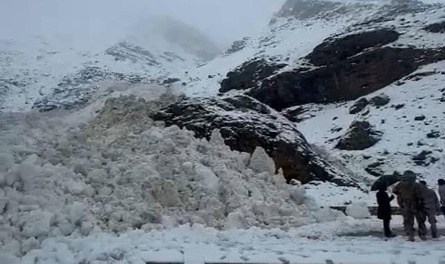 Van-Bahçesaray yoluna çığ düştü