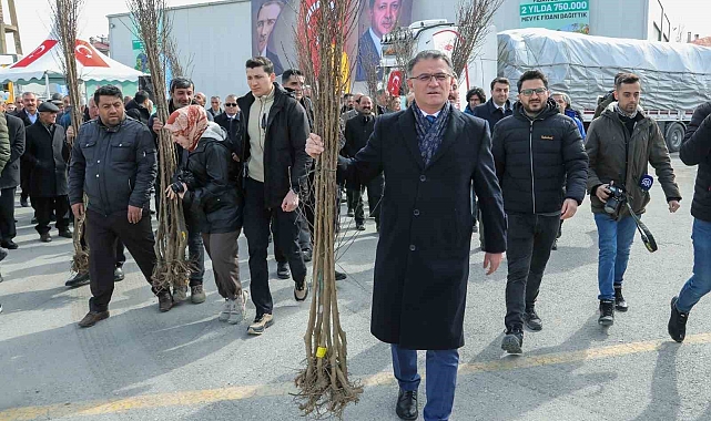 Van Büyükşehir Belediyesi çiftçilere 350 bin meyve fidanı dağıttı